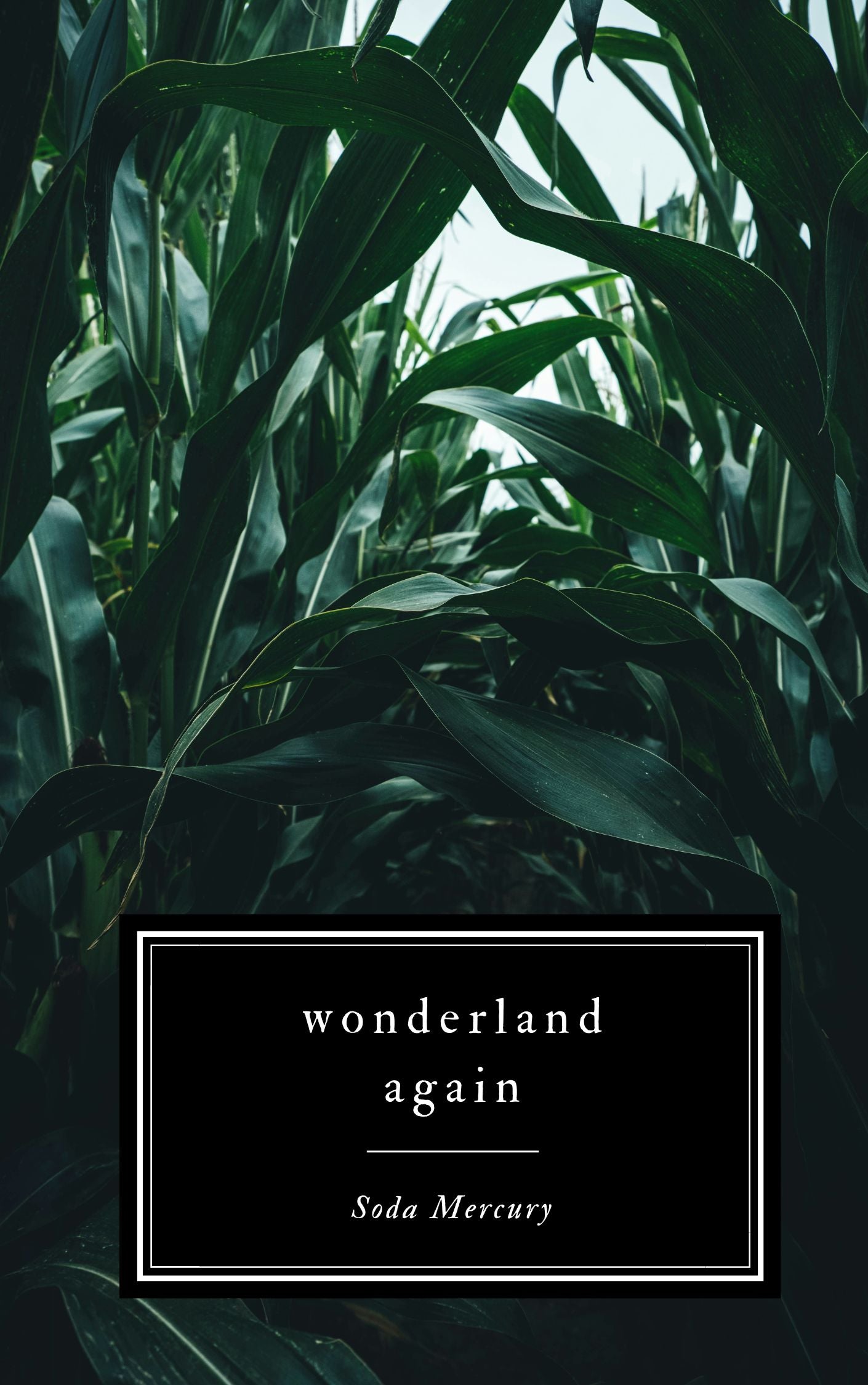 Wonderland Again (eBook) PREORDER 2025.3.3